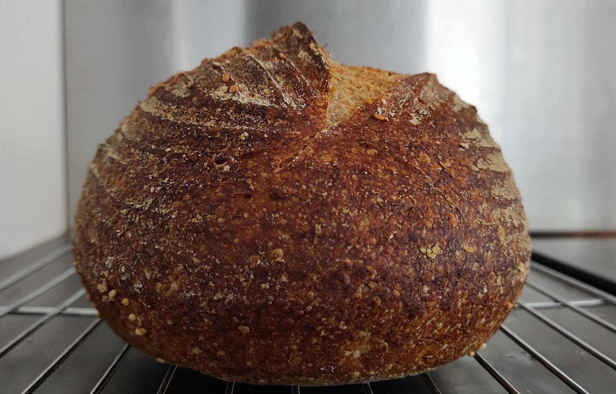 Some thoughts on psyllium husk in wheat breads The Fresh Loaf